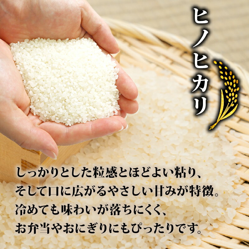 【ふるさと納税】 令和7年産先行受付 ヒノヒカリ 5kg 10kg 単品 定期便 令和7年産 新米 米 精米 こめ コメ お米 ご飯 米 ひのひかり 先行予約 令和7年 3回定期便 6回定期便 12回定期便 3ヶ月定期便 6ヶ月定期便 12ヶ月定期便 ふるさと納税米 ふるさと納税新米 京都 八幡市