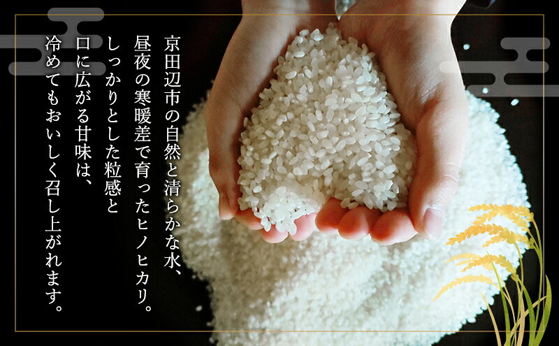 【ふるさと納税】令和8年産 新米 ヒノヒカリ 10kg 米 コシヒカリ お米 ご飯 ごはん 精米 京都府 京田辺市　お届け：2026年11月中旬～12月中旬 f262111-kyotanabe-10000895 京都府京田辺市 サンプル画像2