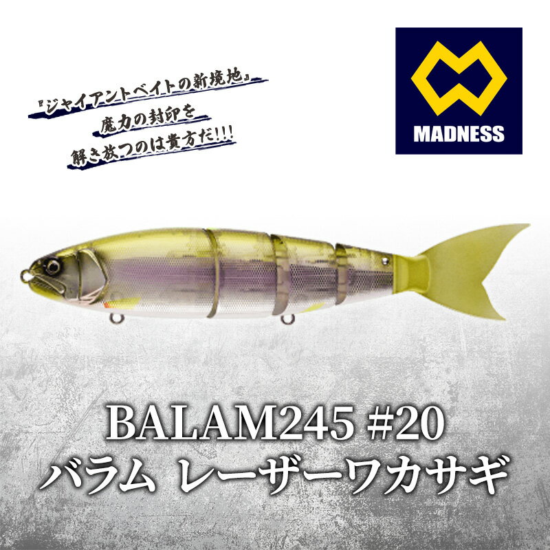 BALAM245 #20 バラム レーザーワカサギ [雑貨・日用品]