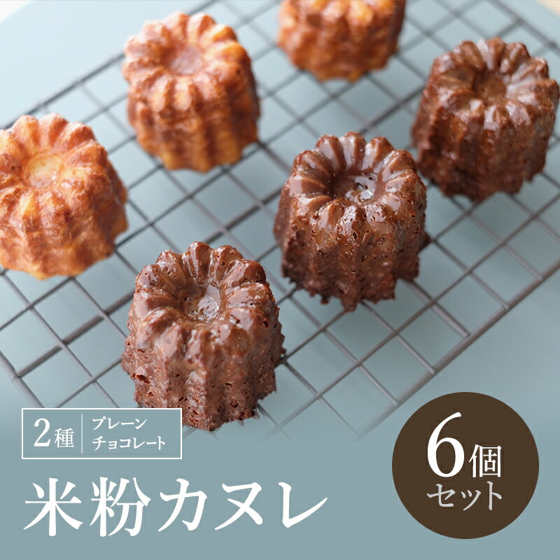 【ふるさと納税】米粉カヌレ 2種(プレーン/チョコレート) 6個セット
