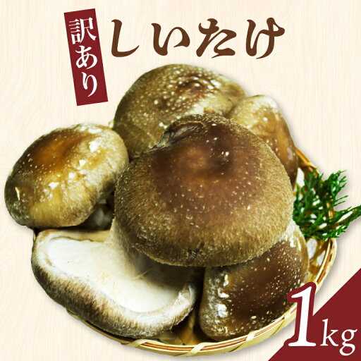 【ふるさと納税】【訳あり】しいたけ1kg お届け:2024年11月上旬~2025年5月下旬まで 【ふるさと納税】【訳あり】しいたけ1kg お届け:2024年11月上旬~2025年5月下旬まで