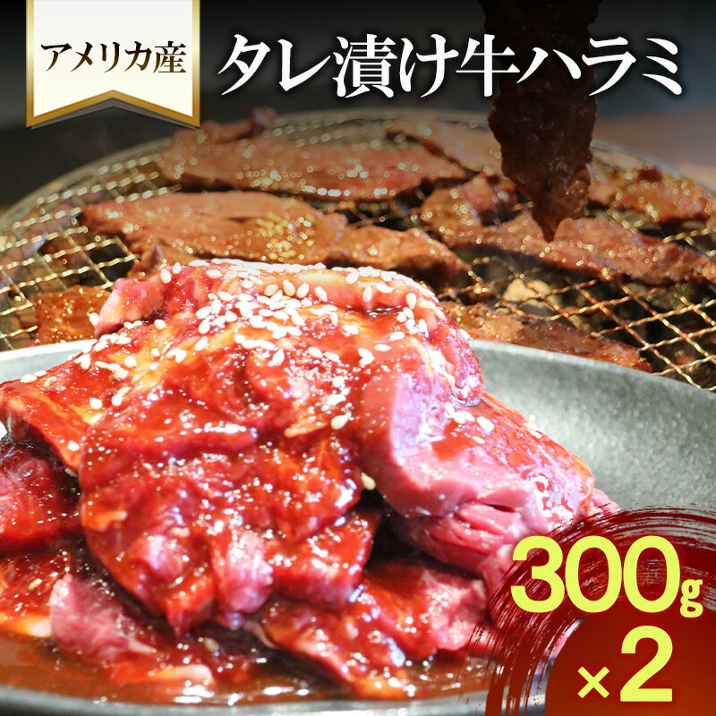 アメリカ産タレ漬け牛ハラミ 300g×2| 牛肉 焼肉 焼き肉 アウトドア BBQ