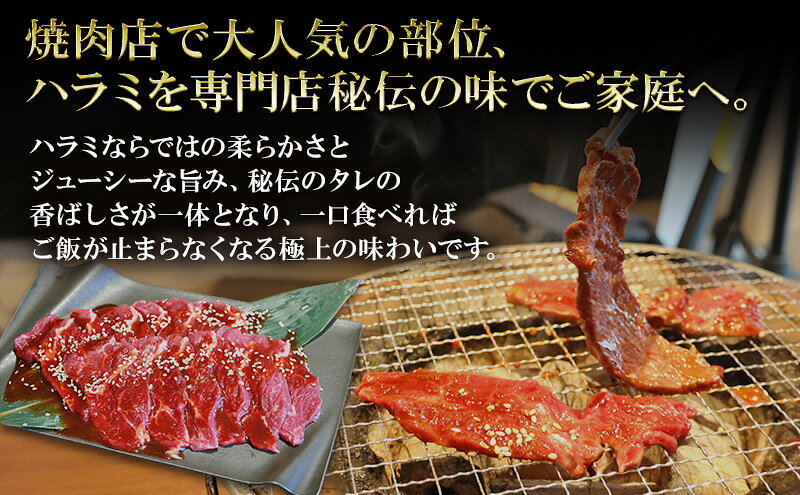 【ふるさと納税】アメリカ産 タレ漬け 牛ハラミ 選べる容量 300g～3kg 定期便 牛肉 焼肉 焼き肉 アウトドア BBQ ハラミ 牛肉 タレ漬け 大容量