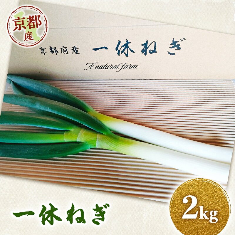 一休ねぎ 2kg 京都府 京田辺市 ネギ 野菜 京野菜