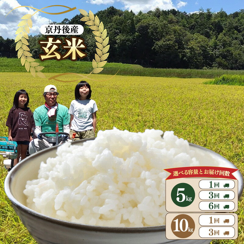 楽天市場】京都丹後 コシヒカリ 玄米 30kgの通販
