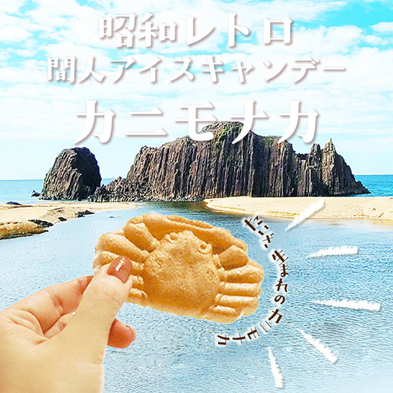 【ふるさと納税】カニもなか（ミルクアイス） 20個 あいす アイス もなか 最中 冷菓 間人アイスキャンデー 生産者応援 送料無料
