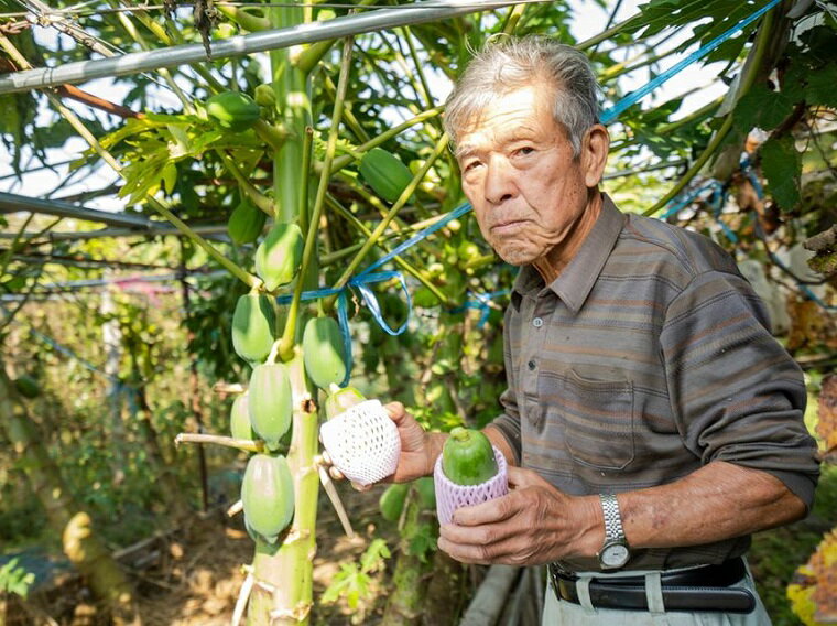 【ふるさと納税】【定期便】ふるさと納税限定F!!旬の京野菜セット10種+特別栽培米コシヒカリ5kg+特産品5品【年間お届け】月1回×12か月 お野菜 野菜 10種類 12回 米 こしひかり 5 特産品 自然栽培 有機肥料 無農薬 旬 おいしい セット 詰め合わせ 新鮮 とれたて