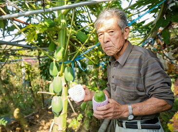 【ふるさと納税】【定期便】ふるさと納税限定F!!旬の京野菜セット10種+特別栽培米コシヒカリ5kg+特産品5品【半年間お届け】月1回×6か月