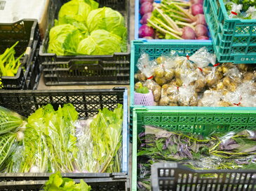 【ふるさと納税】【定期便】ふるさと納税限定F!!旬の京野菜セット10種+特別栽培米コシヒカリ5kg+特産品5品【半年間お届け】月1回×6か月