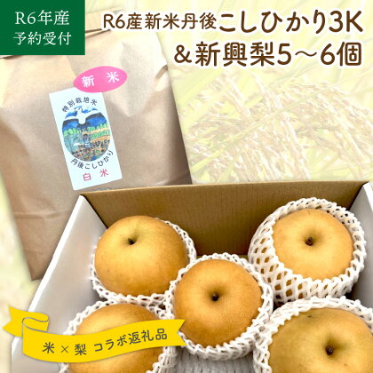 ＜先行予約＞　R6年産丹後こしひかり＆新興梨コラボセット　国産 コラボ 米 コメ 果物 フルーツ 新興梨 梨 ナシ セット 詰め合わせ 先行予約 生産者応援 農家応援 期間限定