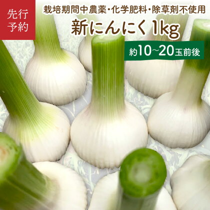 【先行予約／数量限定60】新にんにく1kg（10～20玉前後）（栽培期間中農薬・化学肥料不使用）ニンニクコンフィレシピ付き（2024年6月上旬～発送）