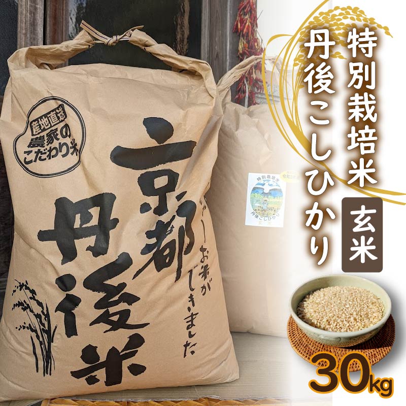 【ふるさと納税】【先行予約】特別栽培米　令和6年産　丹後こしひかり　玄米30Kg 新米 玄米 30キロ コメ ブランド米 ご飯 特別栽培 令和6年度 ふるさと納税 コシヒカリ