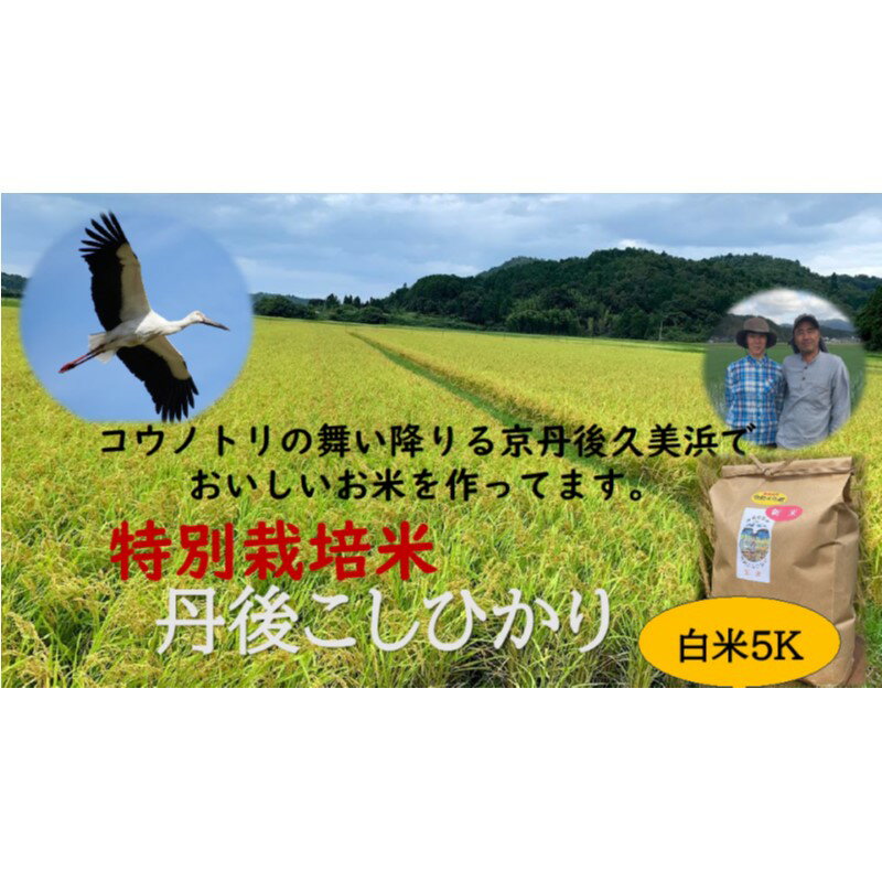 【ふるさと納税】【定期便】特別栽培米京丹後コシヒカリ 5kg【半年間お届け】月1回×...