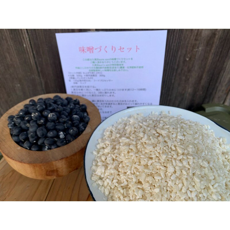 【ふるさと納税】【農家直送あんしん味噌づくりセット】新丹波黒豆(訳あり)栽培期間中農薬・化学肥料・除草剤不使用&生麹(特別栽培米 丹後こしひかり)*レシピ付き