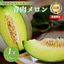【ふるさと納税】【先行予約/数量限定100】ゆめろんファームの青肉メロン(2025年6月上旬〜発送) 国産 高級メロン 贈答 贈答品 贈り物 ふるさと 納税 メ...