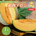 【ふるさと納税】【先行予約/数量限定100】ゆめろんファームの赤肉メロン(2025年6月上旬〜発送) 国産 高級メロン 贈答 贈答品 贈り物 ふるさと 納税 メ...