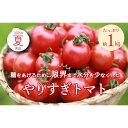 【ふるさと納税】【先行予約】やりすぎトマト(4パック計約1kg)(夏季)(2025年6月上旬以降発送) 国産 ミニトマト ミディトマト プチトマト お野菜 野菜 とまと アスリート トマト 高糖度 甘い 濃縮 濃厚 トマトスープ 健康 リコピン おすすめ 人気