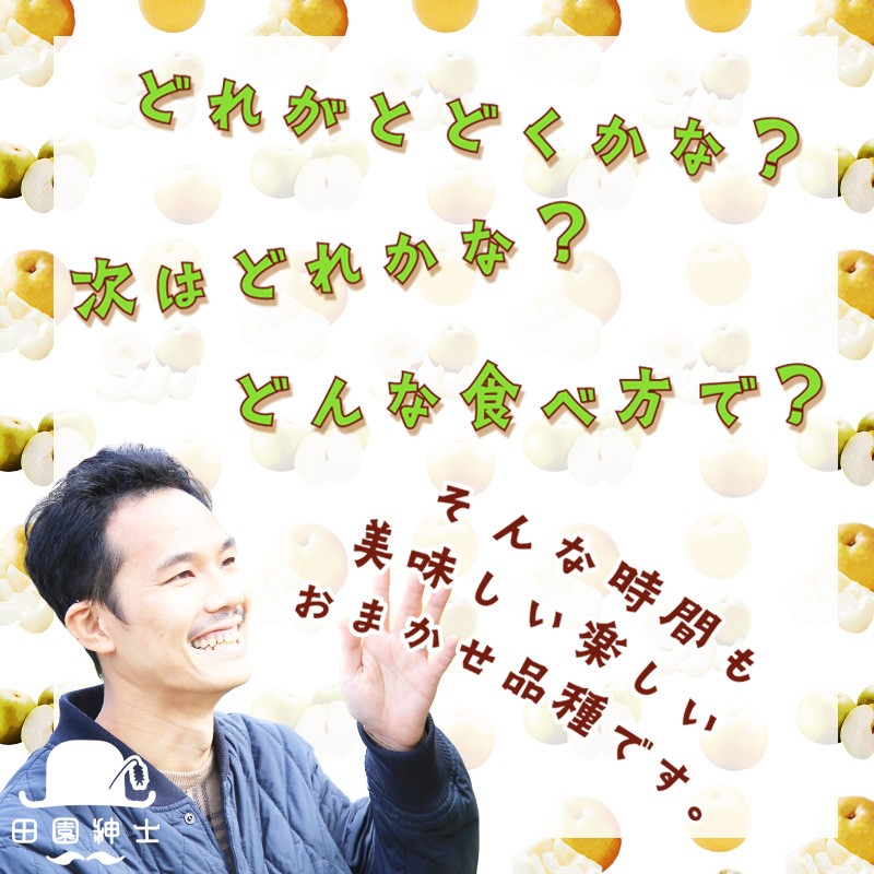 【ふるさと納税】田園紳士厳選「梨好きさんのための定期便3回」（1品種（各約4〜6玉）×3回（計3品種））