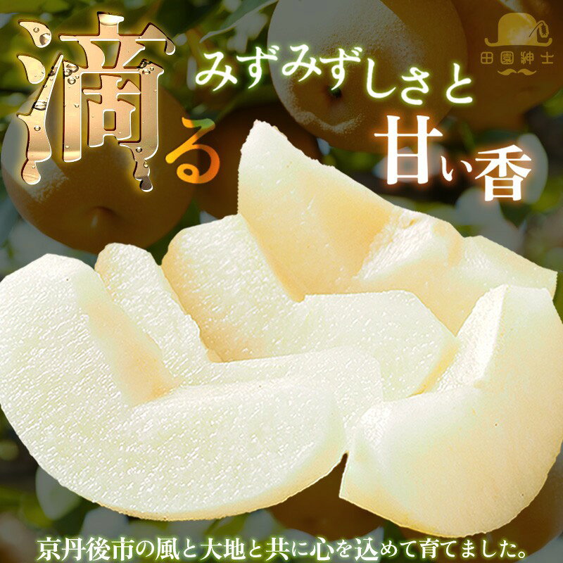 【ふるさと納税】田園紳士厳選「梨好きさんのための梨セット」新興梨ともう1品種の計2品種セット
