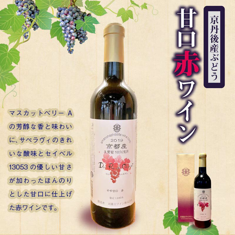【ふるさと納税】【天橋立ワイン】日本ワインコンクール受賞のワ