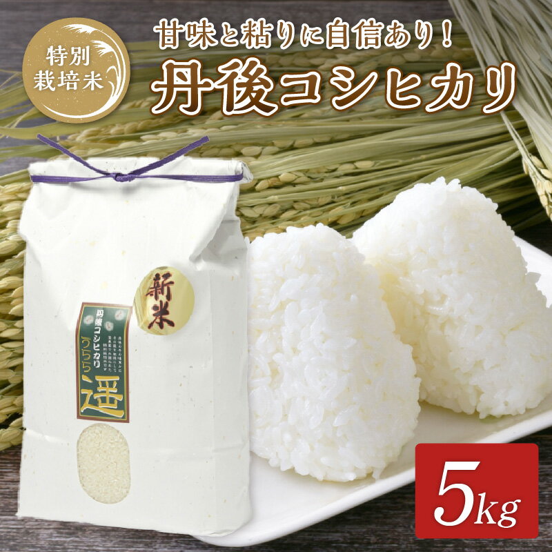 令和5年度産 丹後うらら米 丹後コシヒカリ 5kg 米 お米 こしひかり コシヒカリ 5キロ ふるさと納税 京丹後市