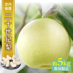 【ふるさと納税】残りわずか【先行予約/数量限定】京都丹後産 二十世紀梨 5kg(2025年9月上旬~発送) 国産 ギフト ジューシー お取り寄せ 5キロ ふるさと 納税 梨 なし ナシ 5kg ふるさと 納税 先行予約 期間限定 ふるさと 納税 20世紀 先行申込 送料無料