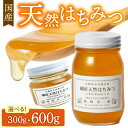 【ふるさと納税】高評価★5.0 高レビュー★ 国産天然はちみつ 300g 600g 天然 ハチミツ 天然はちみつ ビタミン 京都 はちみつ 国産 京丹後 ふるさ...