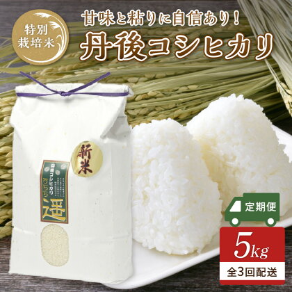 【3ヶ月定期便】令和5年度産　丹後うらら米　丹後コシヒカリ　5kg 米 お米 特別栽培 国産 こしひかり 5キロ 3ヶ月 定期便 ふるさと納税 定期便 米