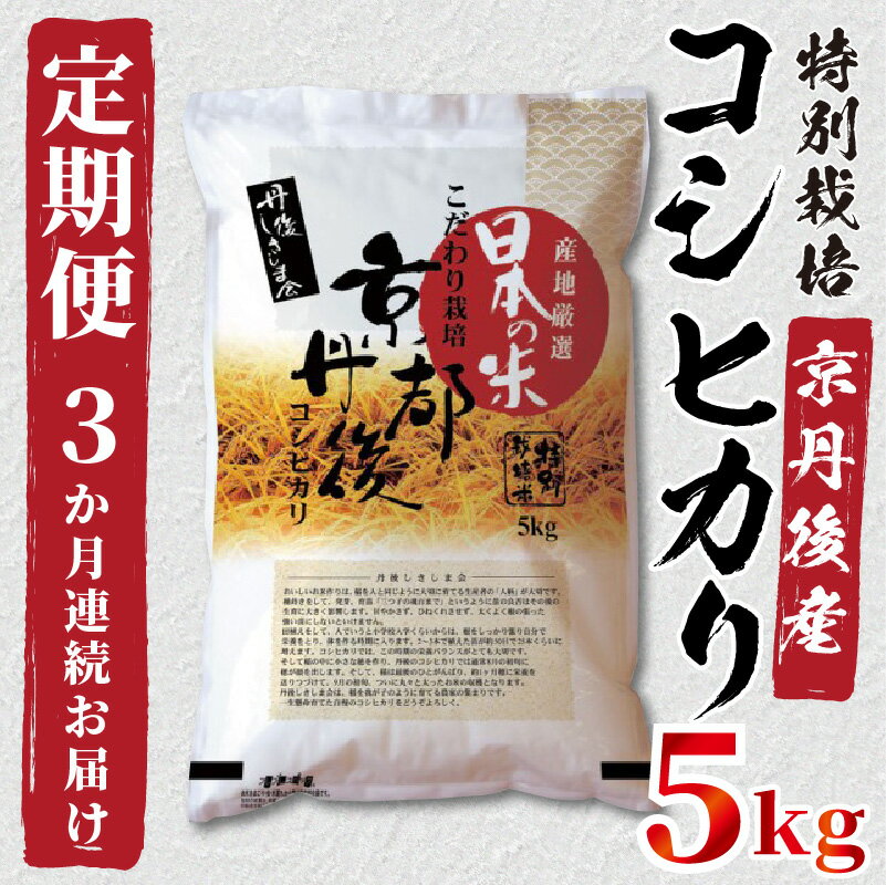 【ふるさと納税】《定期便3か月》京都丹後産　特別栽培米コシヒカリ5kg（5kg×1袋） 食品 米類 米 白米 ブランド米 こしひかり 5キロ 5kg 定期便 精米 こしひかり 定期 お土産 ギフトこめ コメ 3ヵ月 3ヶ月 3 送料無料