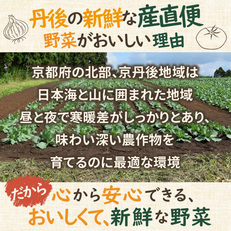 【ふるさと納税】高レビュー★ 京のお野菜詰め合わせ／京丹後産・旬の野菜 5〜8種詰め合わせ（小）　お野菜 野菜 詰め合わせ セット 季節もの 大容量 厳選 新鮮 お試し 京丹後 献立 とれたて 旬 春 夏 秋 冬 ふるさと納税 野菜 京野菜 送料無料