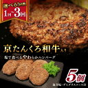 【ふるさと納税】ケーキのようなやわらかさ★塩で食べる京たんくろ 和牛 やわらかハンバーグ （ デミグラスソース 付き ）1回 3回 選べる 隔月 回数 定期便 国産 はんばーぐ 牛肉 ふるさと納税 ハンバーグ 小分け ふるさと納税 ハンバーグ 冷凍 簡単調理 人気 送料無料