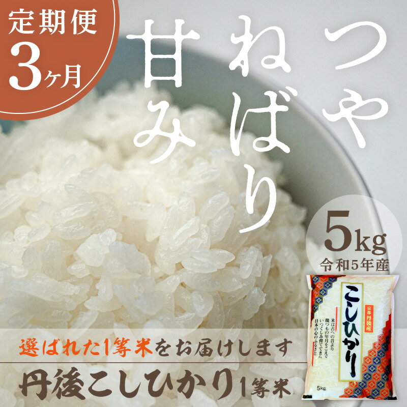 【ふるさと納税】厳選した一等米【定期便】西日本最多特A獲得★定期便 令和5年産 丹後こしひかり 5kg × 3ヵ月 1等米 ★大正初期創業の老舗米商店がお届け★白米 お弁当 おにぎり 京都産 京丹後 コシヒカリ ブランド米 久美浜 2023 年産 生産者応援 農家応援 送料無料