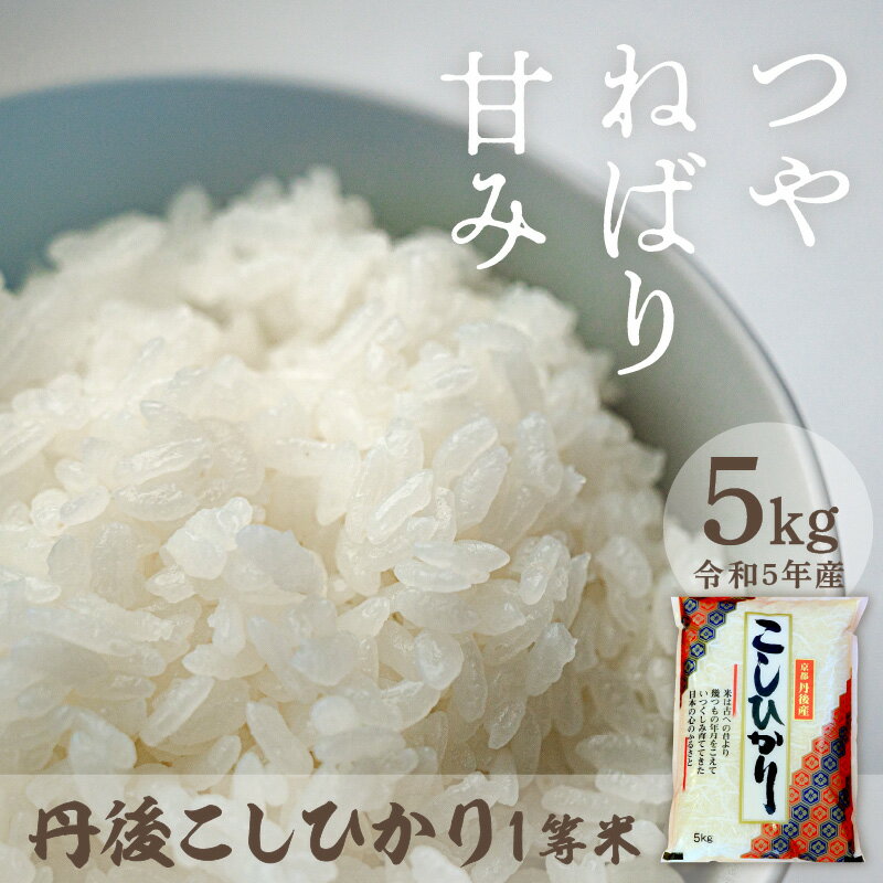 厳選した一等米★西日本最多特A獲得★ 令和5年産 1等米 丹後こしひかり 5kg 大正初期創業の老舗米商店がお届け★白米 お弁当 おにぎり 京都産 京丹後 コシヒカリ ブランド米 久美浜 2023 年産 生産者応援 農家応援 送料無料