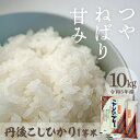 17位! 口コミ数「0件」評価「0」厳選した一等米★西日本最多特A獲得★ 令和5年産 1等米 丹後こしひかり 10kg （5kg × 2袋） 大正初期創業の老舗米商店がお届け★･･･ 