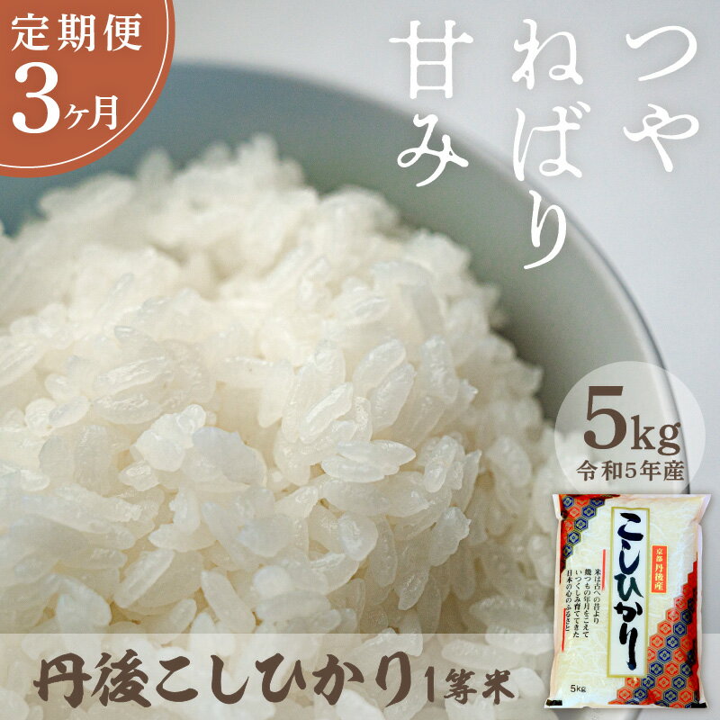 【ふるさと納税】厳選した一等米【定期便】西日本最多特A獲得★定期便 令和5年産 丹後こしひかり 5kg × 3ヵ月 1等米 ★大正初期創業の老舗米商店がお届け★白米 お弁当 おにぎり 京都産 京丹後 コシヒカリ ブランド米 久美浜 2023 年産 生産者応援 農家応援 送料無料