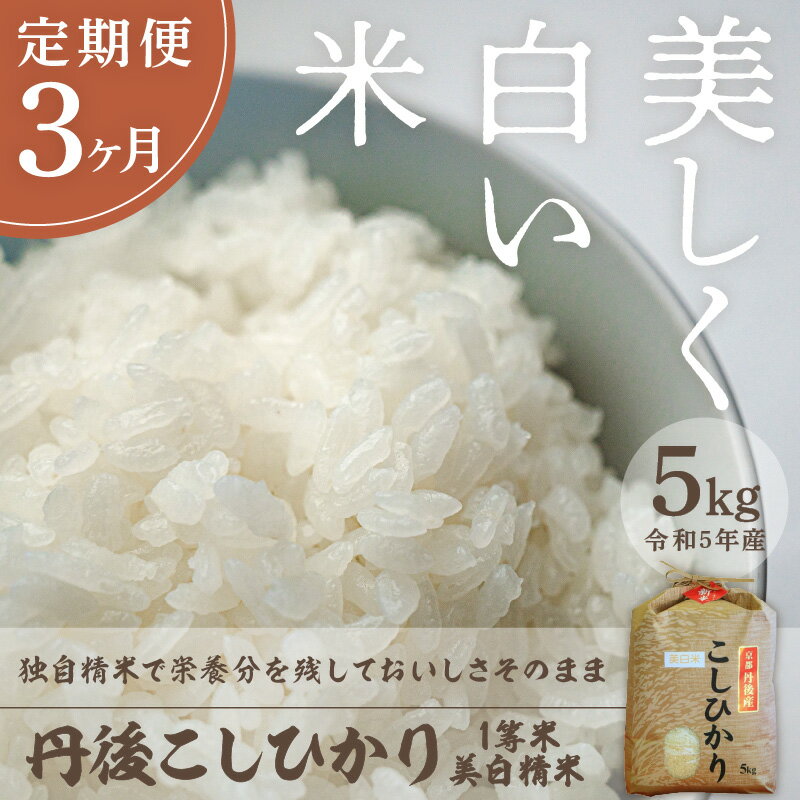 【ふるさと納税】【定期便3回】西日本最多特A獲得★定期便 令和5年産 美白精米 丹後こしひかり 5kg × 3ヵ月 1等米 大正初期創業の老舗米商店がお届け★白米 お弁当 おにぎり 京都産 京丹後 コシヒカリ ブランド米 久美浜 2023 年産 生産者応援 農家応援 送料無料