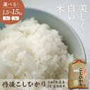 【ふるさと納税】令和7年産 美白精米 丹後こしひかり 1等米 選べる 回数 内容量 3kg 5kg 10kg 1回 3回 定期便 久美浜 国産 産地直送 お米 白米 丹後コシヒカリ おにぎり お弁当 京都産 京丹後 こしひかり 精米 ふるさと納税 コシヒカリ 米