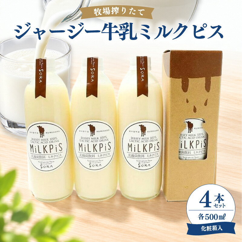 ジャージーミルクピス(500ml×4本セット)化粧箱入 ふるさと納税 ミルクピス 乳製品 丹後ジャージー牧場 ミルク工房そら ジャージー牛乳の美味しさ広がる 乳酸菌ドリンク 乳酸菌飲料
