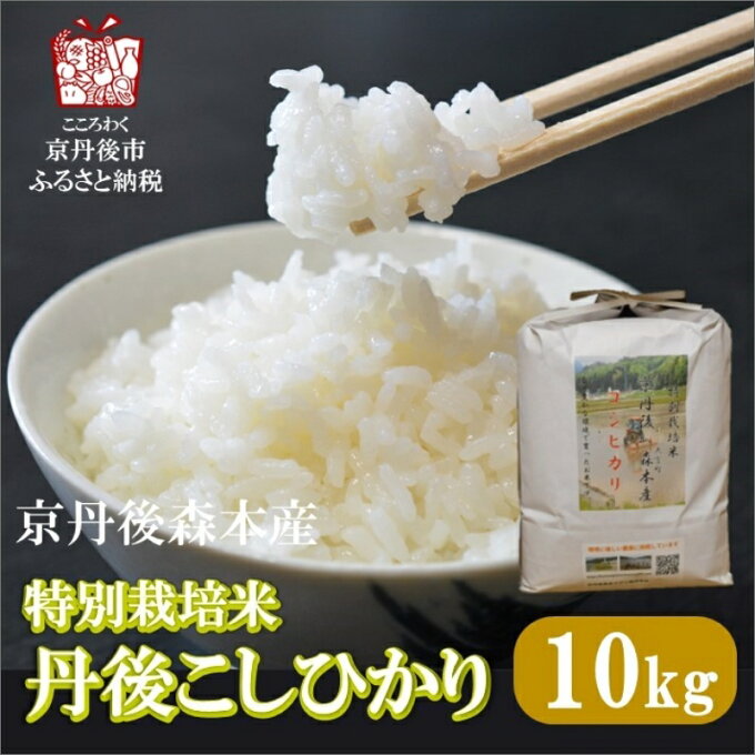 【ふるさと納税】令和4年産　京丹後森本産　特別栽培米コシヒカリ10kg 産地直送 白...