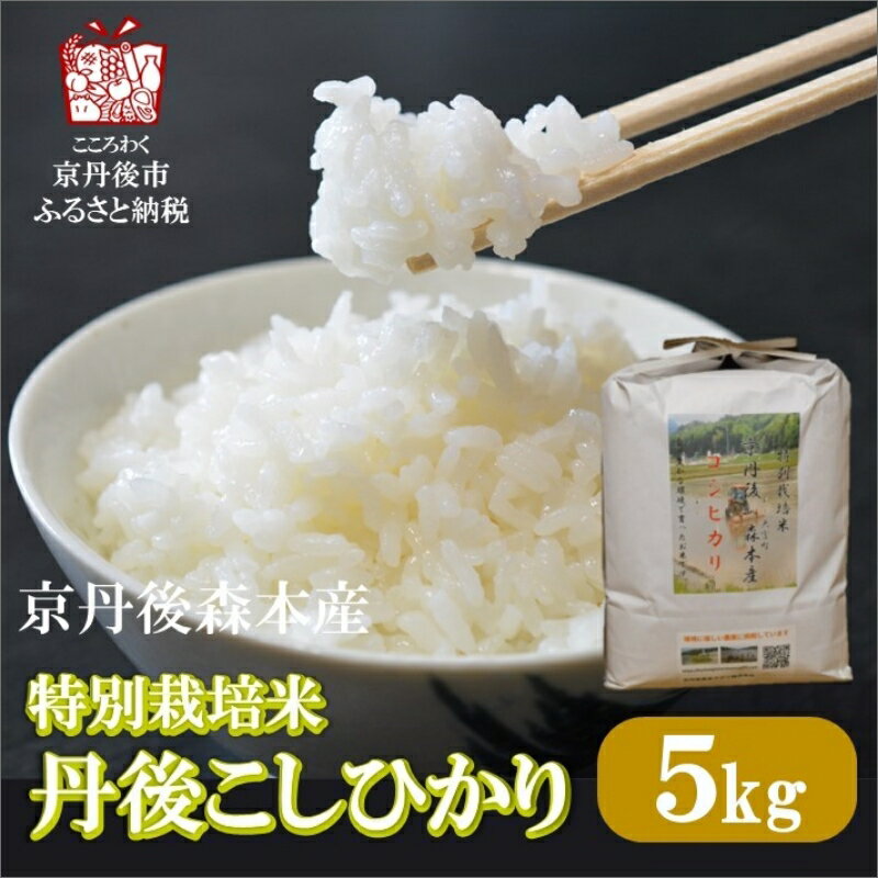 【ふるさと納税】令和4年産　京丹後森本産　特別栽培米コシヒカリ5kg 産地直送 白米 丹後コシヒカリ おにぎり お弁当 京都産 京丹後 こしひかり ふるさと納税 コシヒカリ 精米 ふるさと納税 こしひかり 精米 ふるさと納税 米 5kg