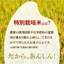 京都府京丹後市の画像3