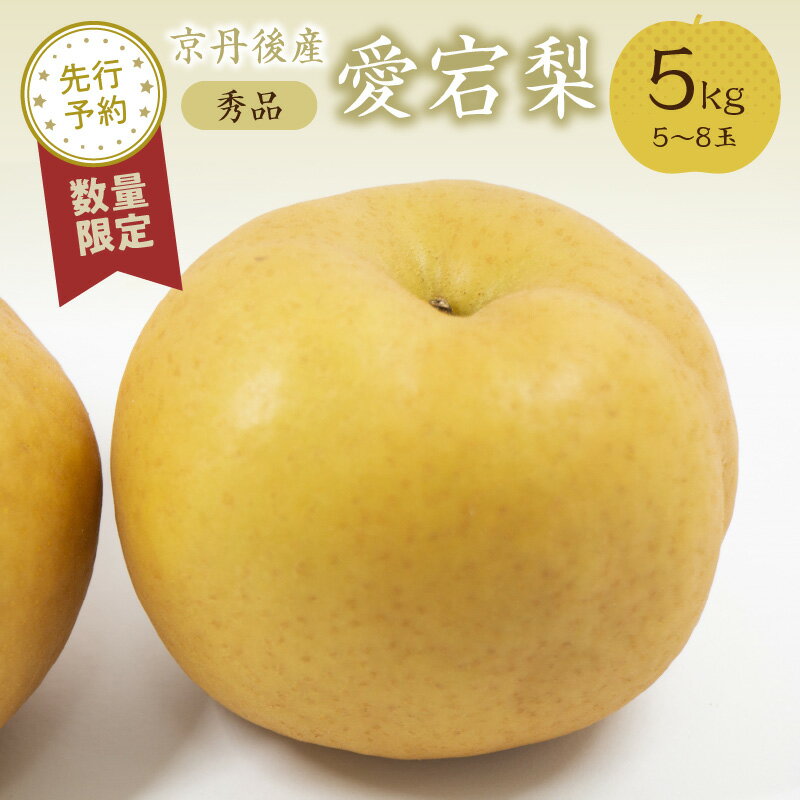 [先行予約/数量限定20]愛宕梨 秀品 5kg(5〜8玉入り)(2024年12月上旬〜発送) 国産 あたご梨 赤梨 5〜8 個 玉 ふるさと 納税 梨 なし ナシ 5kg ふるさと 納税 先行予約 期間限定 ふるさと 納税 フルーツ くだもの 果物 農家直送