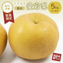 【ふるさと納税】【先行予約／数量限定50】【訳あり】愛宕梨 優品 5kg（5～8玉入り）（2024年 ...