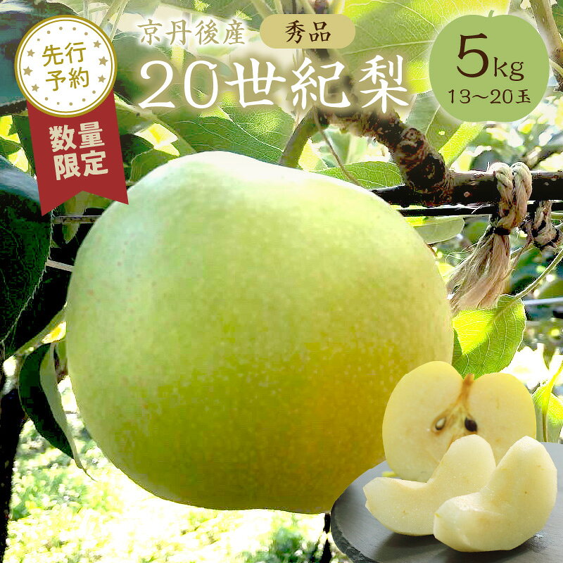 2026秋発送[先行予約/数量限定50]20世紀梨 秀品 5kg(13〜20玉入り)(2026年9月上旬〜発送) 国産 13〜20 個 玉 ふるさと 納税 梨 なし ナシ ふるさと納税 20世紀梨 ふるさと納税 二十世紀梨 5kg ふるさと 納税 フルーツ くだもの 農家直送