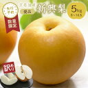 【ふるさと納税】高レビュー★ 【先行予約/数量限定100】【訳あり】新興梨 優品 5kg(8〜16玉入り)(2025年10月上旬〜発送) 国産 8〜16個 玉 ...