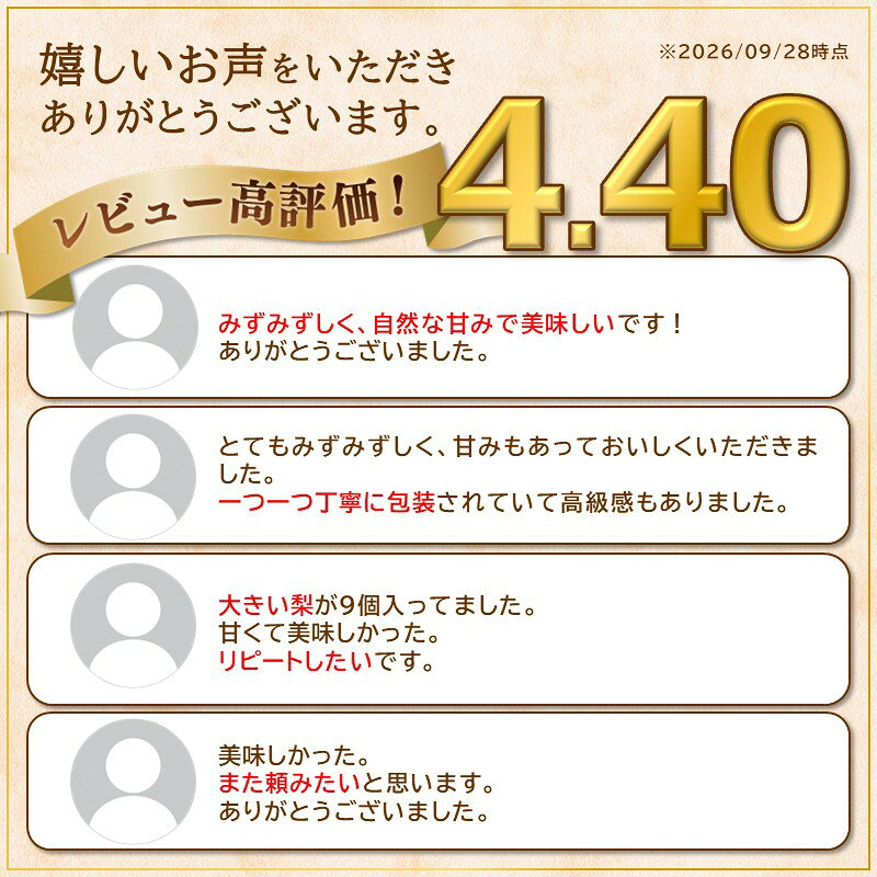 【ふるさと納税】【残りわずか】大きい梨・新興梨 秀品 5kg（8～16玉入り）（2026年10月上旬～発送） 国産 8〜16 個 玉 ふるさと 納税 梨 なし ナシ 5kg ふるさと 納税 先行予約 期間限定 ふるさと 納税 フルーツ くだもの 果物 赤梨 農家直送 ふるさと納税 梨 f262129-kyotango-10002244 京都府京丹後市 サンプル画像2