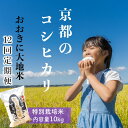 《定期便12か月》特別栽培米コシヒカリ「おおきに大地米」10kg 令和5年産 お米 米 コシヒカリ 送料無料 京都 京丹後 丹後