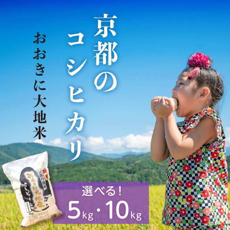 有機JAS認証米「おおきに大地米」 5kg 10kg 選べる 内容量 ふるさと納税 お米 米 こめ コシヒカリ こしひかり 5 10 美味しい 限定
