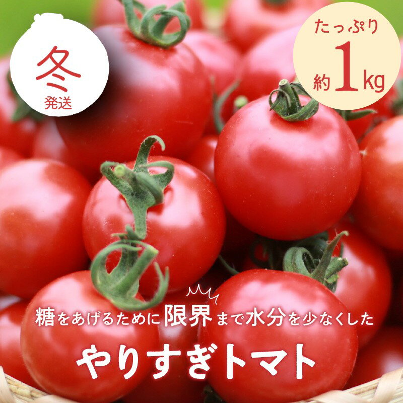 【ふるさと納税】高評価★5.0 高レビュー★ 【先行予約】やりすぎトマト（4パック計約1kg）（冬季）（202..
