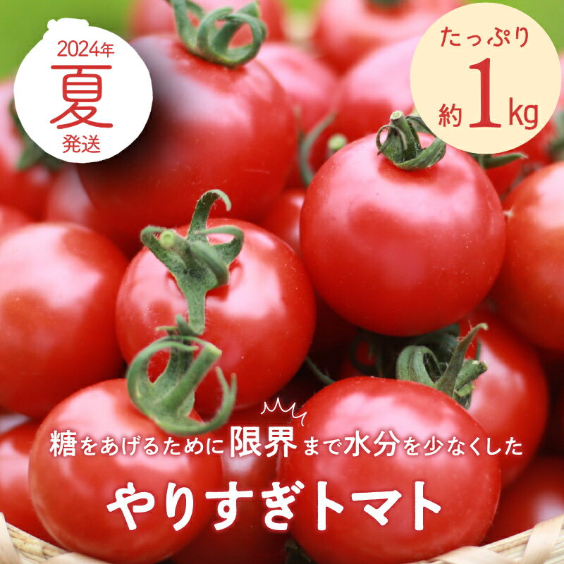 【ふるさと納税】【先行予約】やりすぎトマト（4パック計約1kg）（夏季）（2024年6月中旬以降発送）国産 ミニトマト ミディトマト プチトマト お野菜 野菜 とまと アスリート トマト 高糖度 甘い 濃縮 濃厚 トマトスープ 健康 リコピン おすすめ 人気